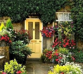 getImage (37).jpg