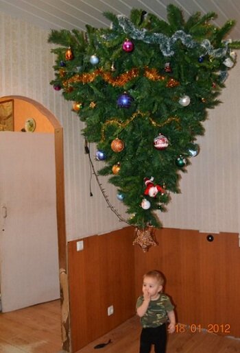 123.jpg