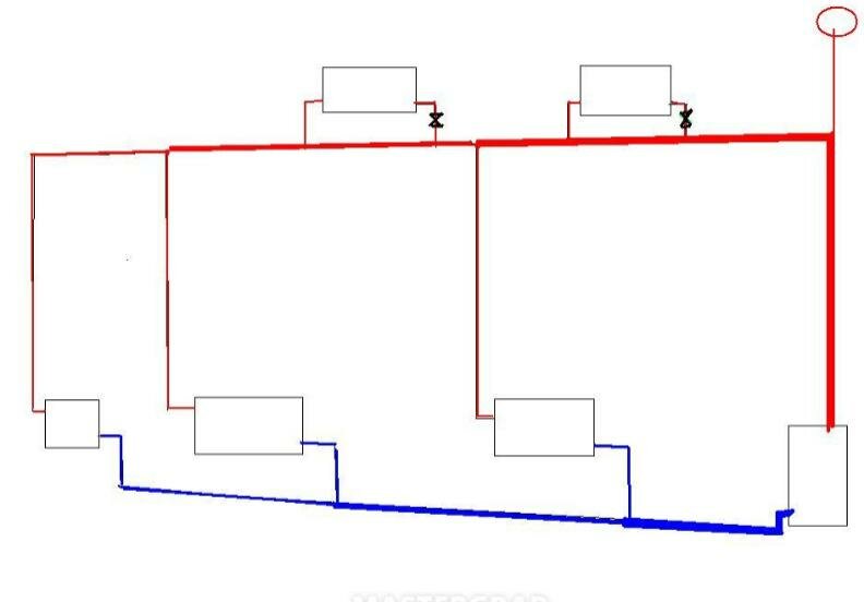 1133.jpg