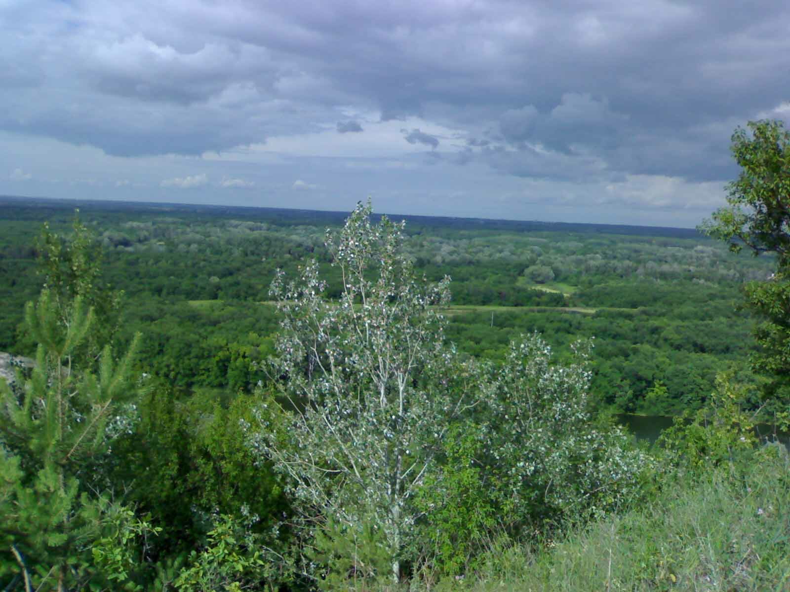 фотообои2.jpg